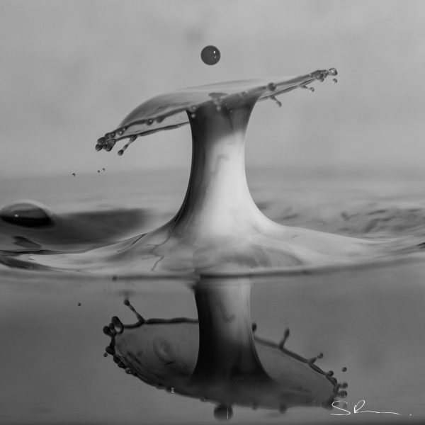Water drop collision #1