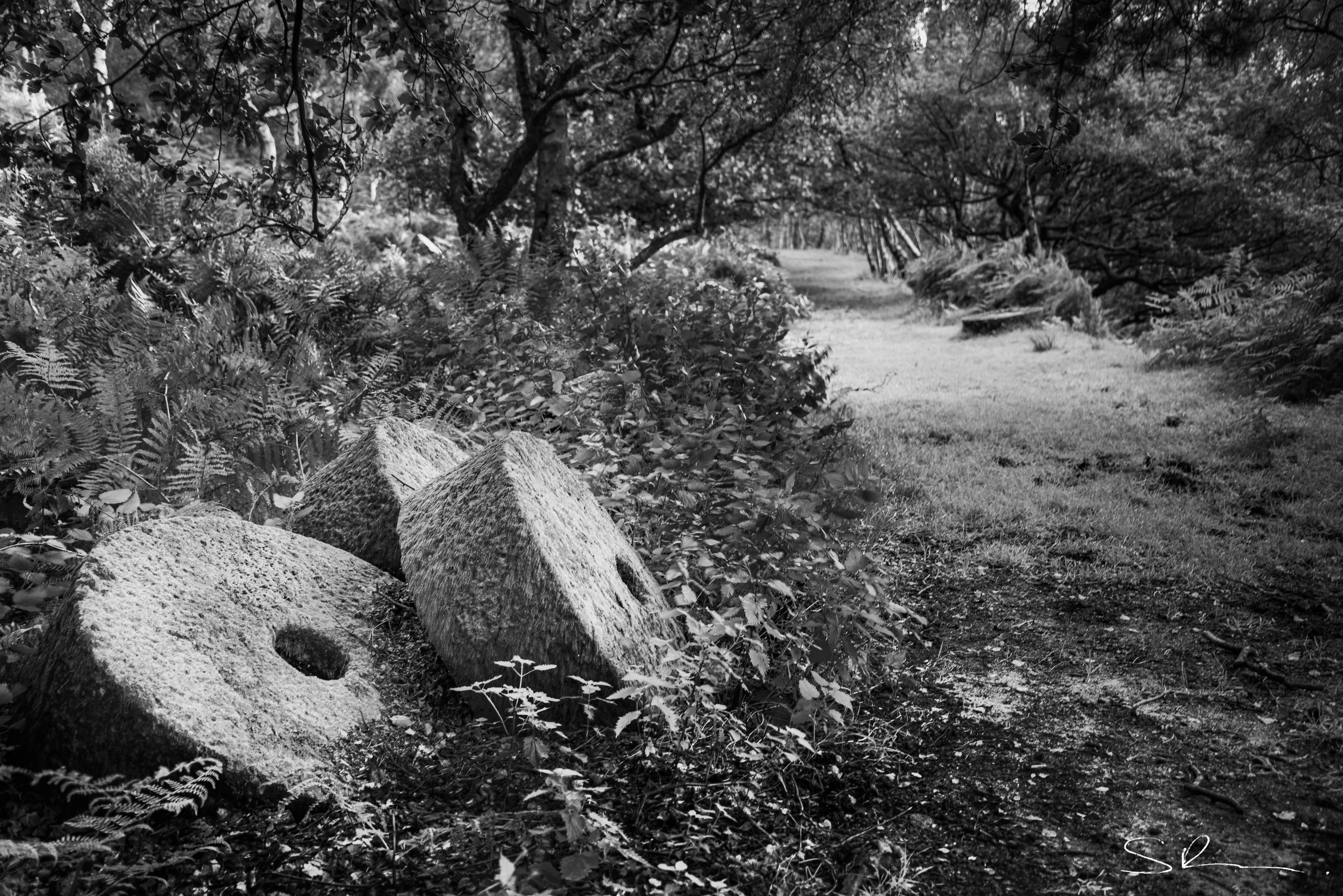 Millstones in Peak District
