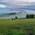 On a misty morning in the Lake District