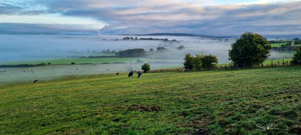 On a misty morning in the Lake District