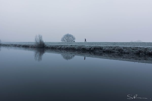 Lady Walking Dog