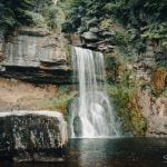 Thornton Force