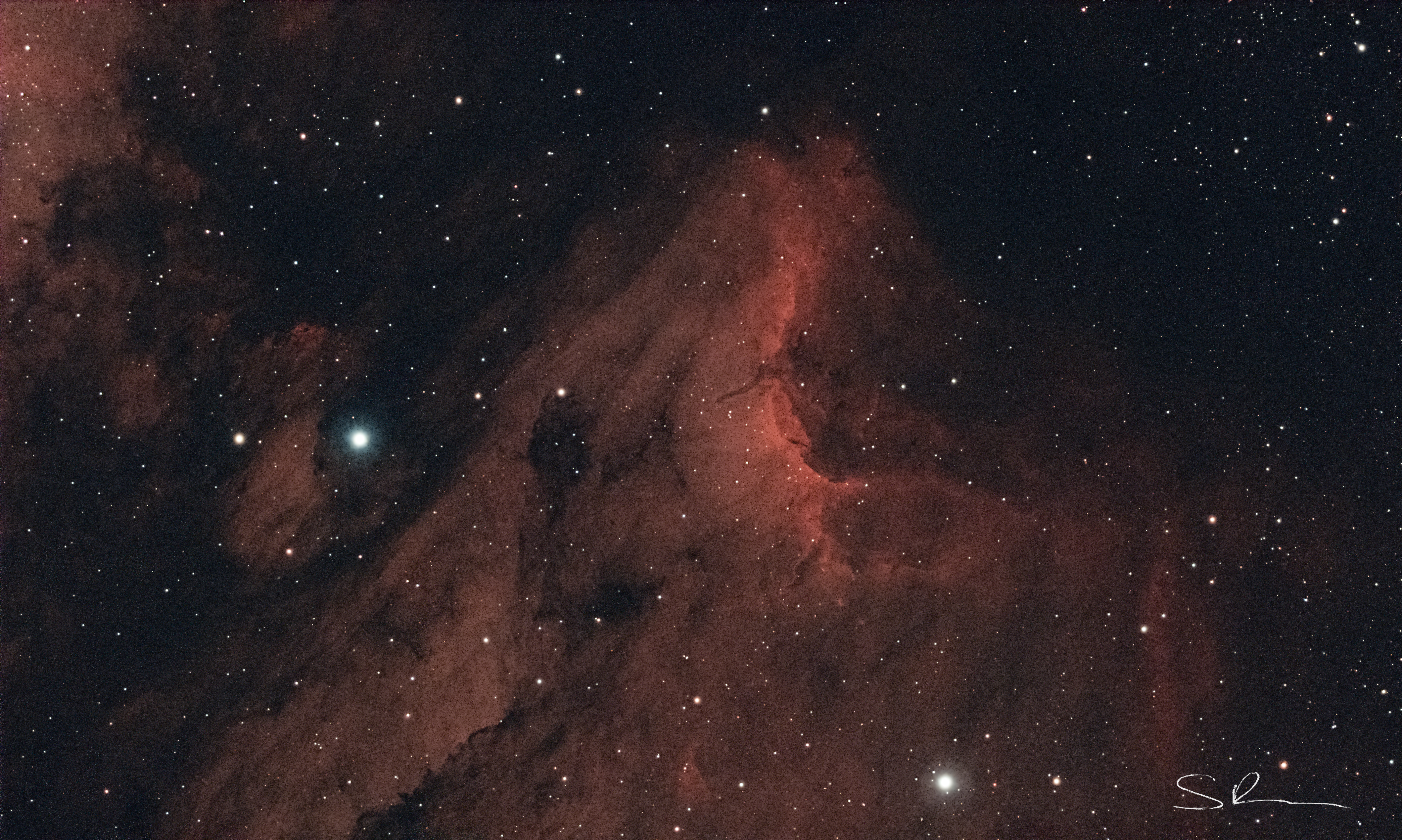 Pelican Nebula